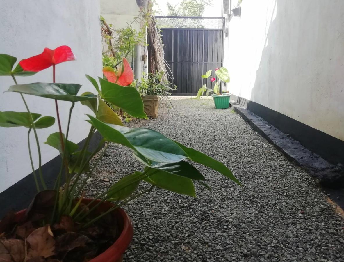 New Coral Garden Weligama Hotel Exterior photo